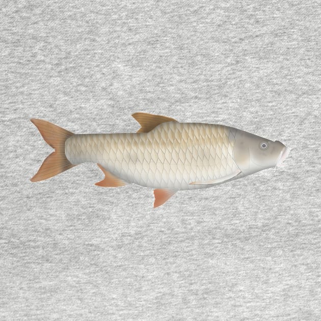 True big-scale tetra by FishFolkArt